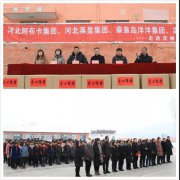 河北英皇集团、河北阿布卡集团、秦皇岛洋洋集